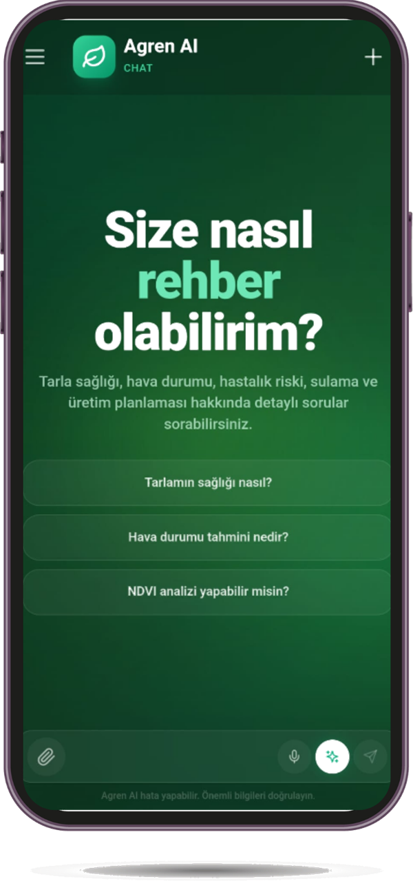 AI Chat