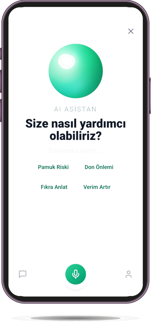 Sesli AI